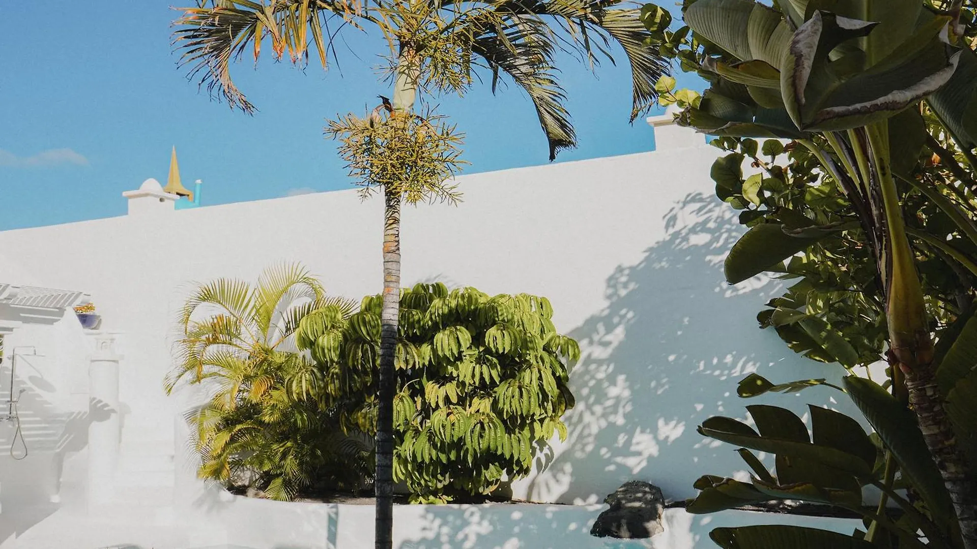 Villa Ananda - Luxury Villa In Bahiazul Corralejo Spain