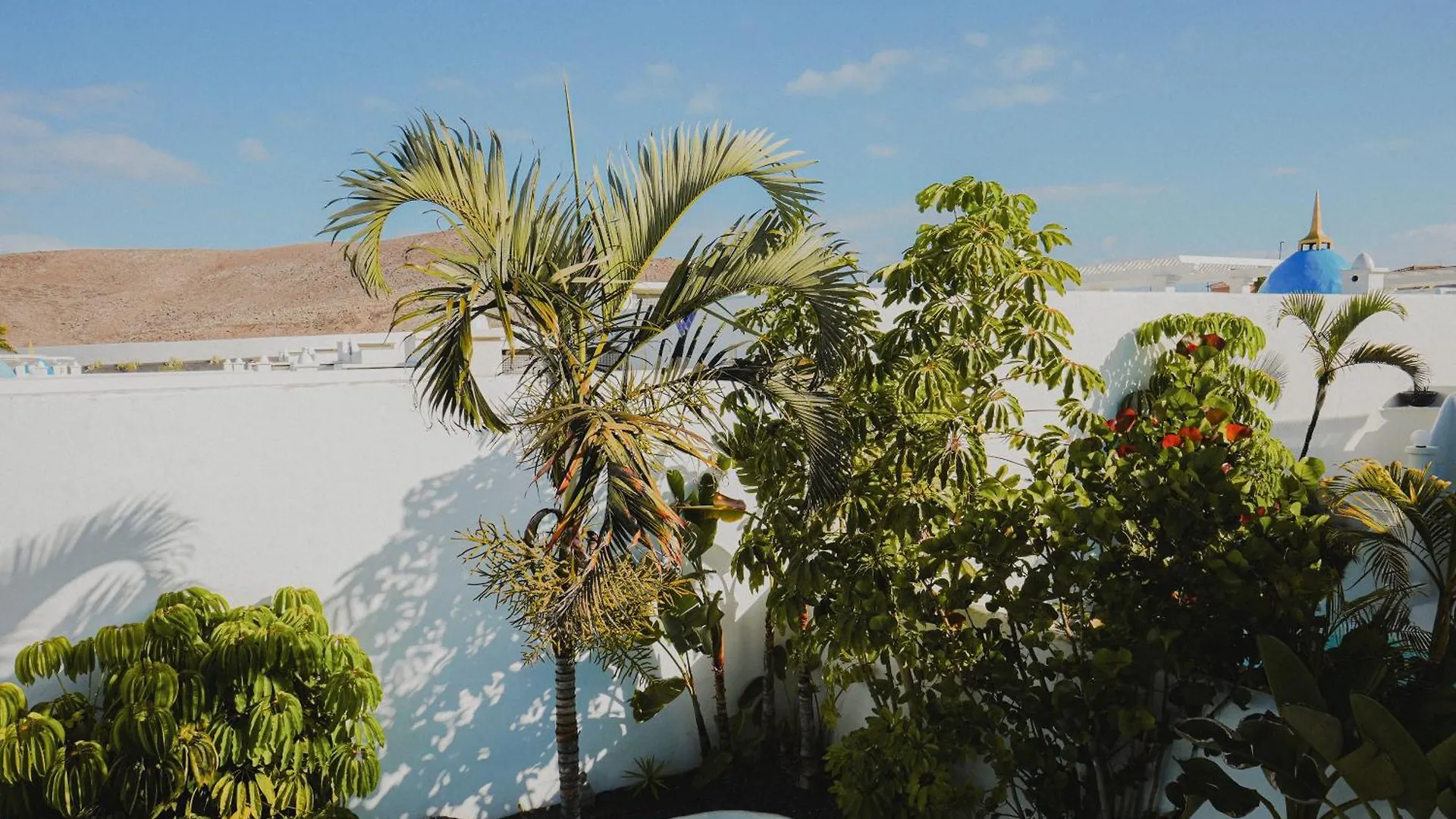 Villa Ananda - Luxury Villa In Bahiazul Corralejo